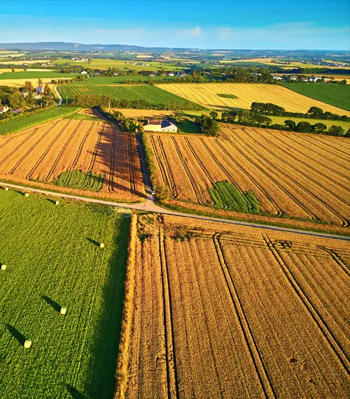Accompagnement et vente aux enchères de matériel et exploitation agricole.