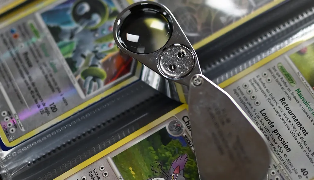 Comment protéger ses cartes Pokémon et autres cartes de collection - Département TCG / JCC